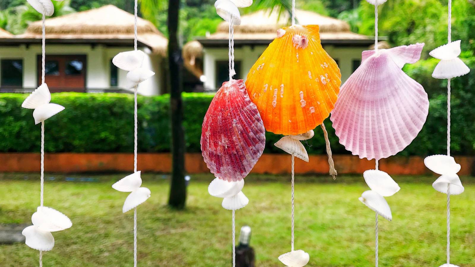 Shell Creatives 6 Creative Ways to Incorporate Shells in Your Garden Design