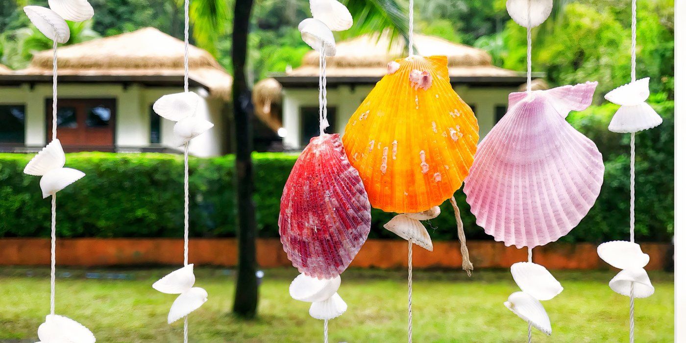 6 Creative Ways to Incorporate Shells in Your Garden Design
