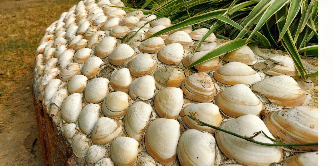 6 Creative Ways to Incorporate Shells in Your Garden Design