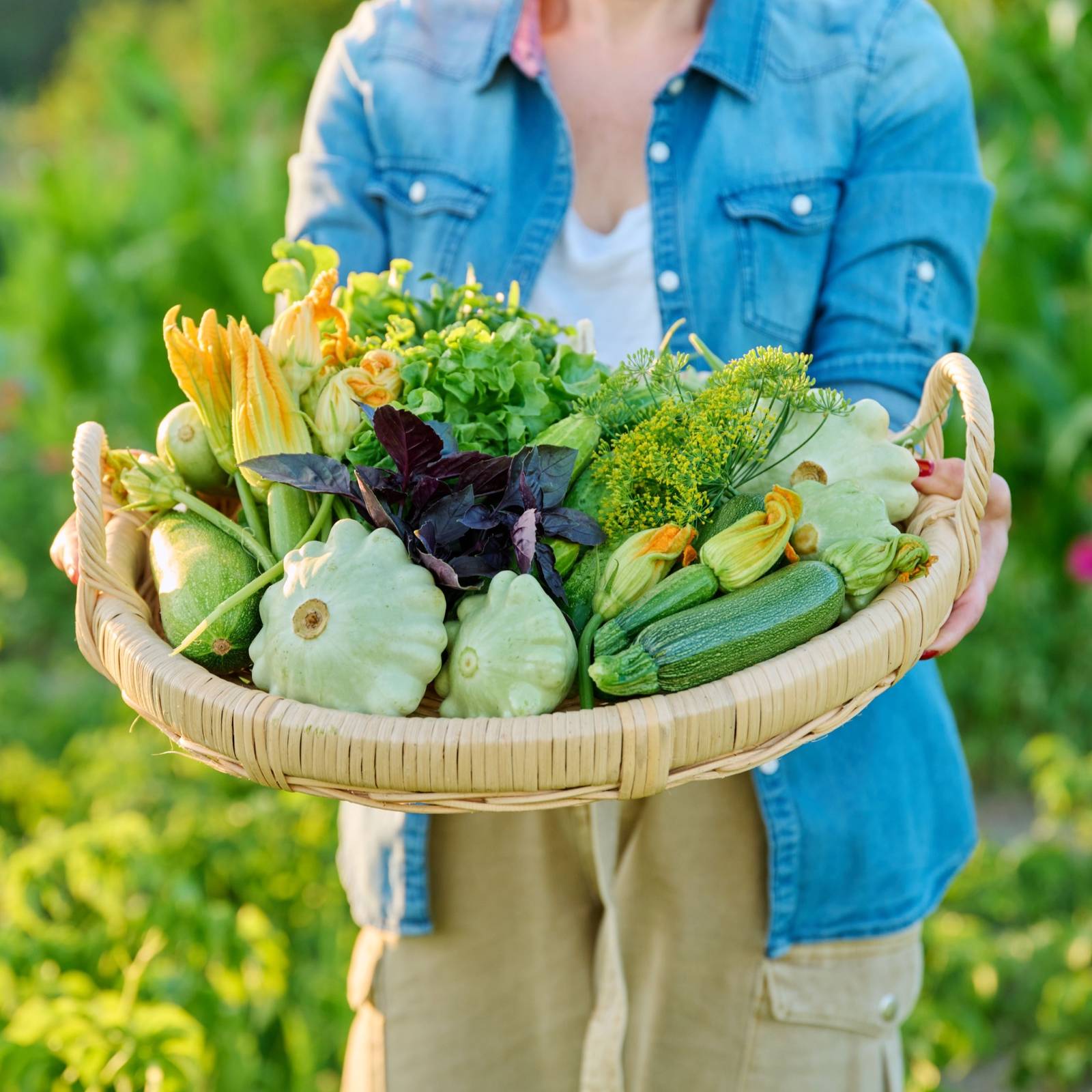 Five Easy Dinner Ideas With Fresh Vegetables, image size:1600x1600