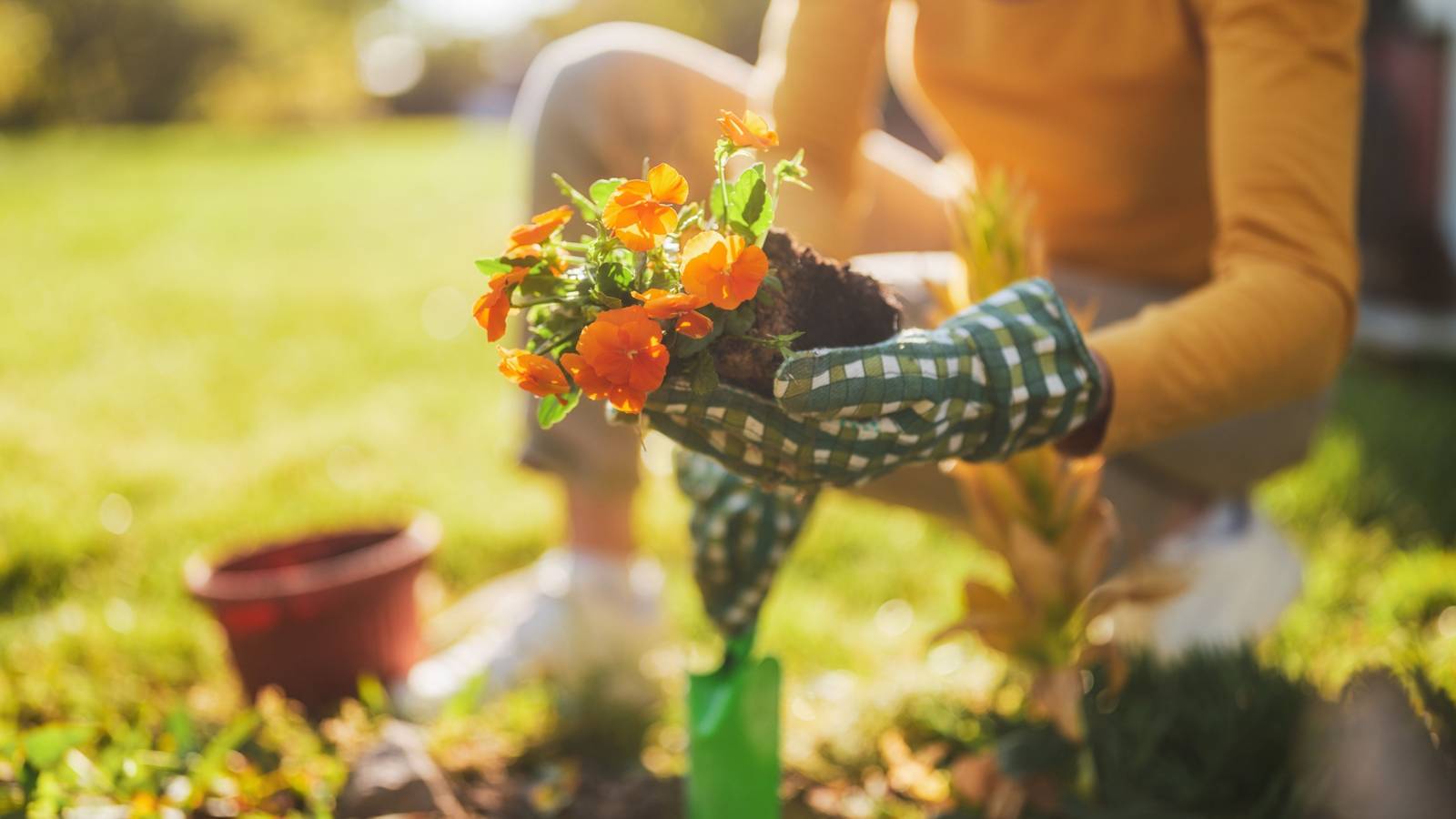 Turn Gardening Into a Lifestyle for Well-Being and Sustainability