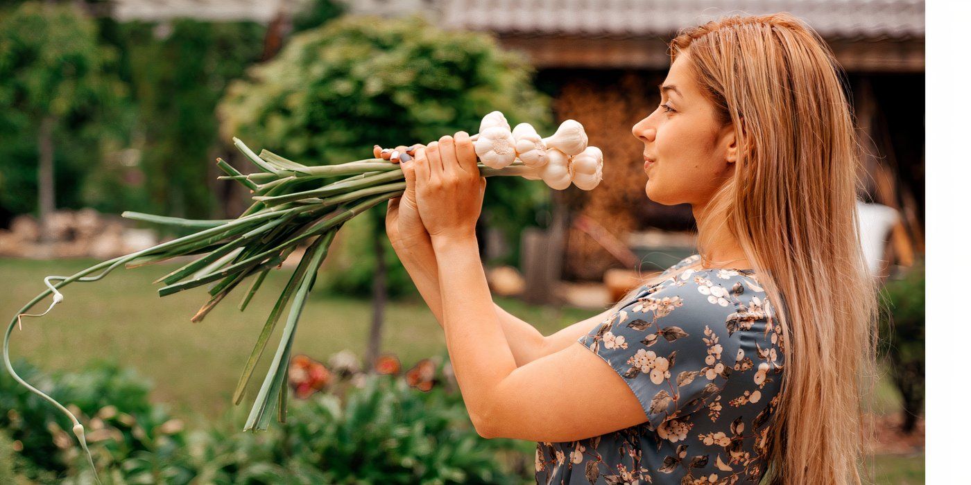 8 Detoxifying Plants to Grow for Natural Cleansing