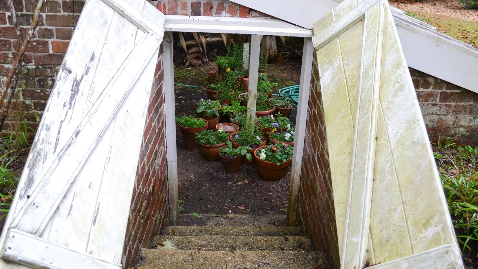 Walipini Greenhouse Design: Underground Growing Made Easy