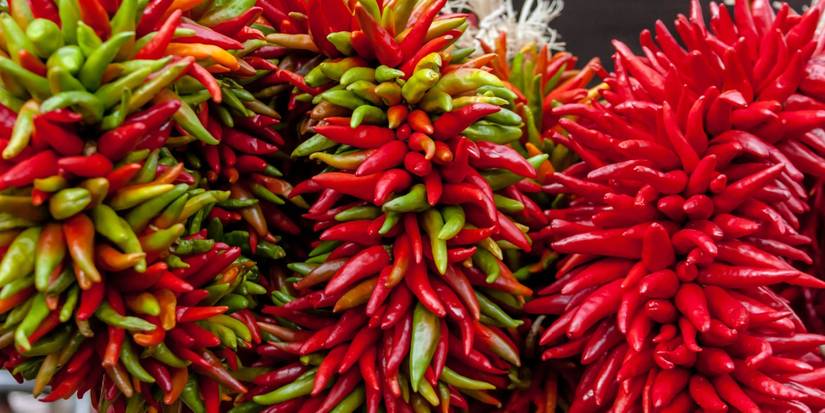 Make Your Season Glow With Bold Southwest Christmas Decorations
