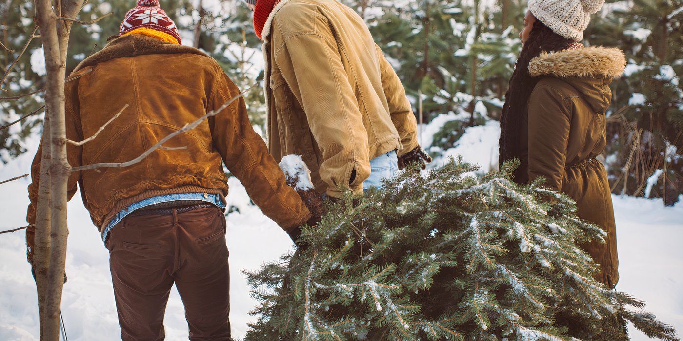 Enhancing Faux Christmas Trees with Real Greenery: A Guide