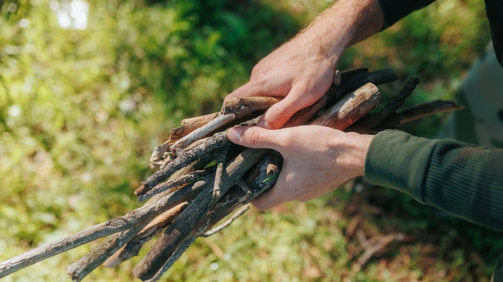 Fallen Stick Sustainable Fall Yard Care: Creative Uses for Fallen Sticks