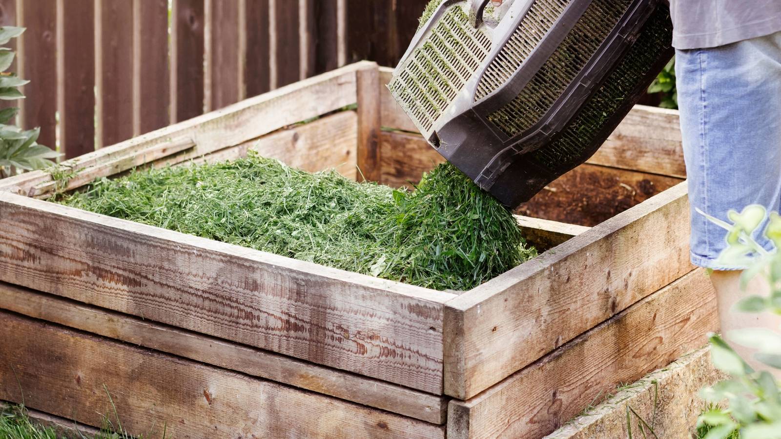 5 Best Green Compost Materials for Your Pile
