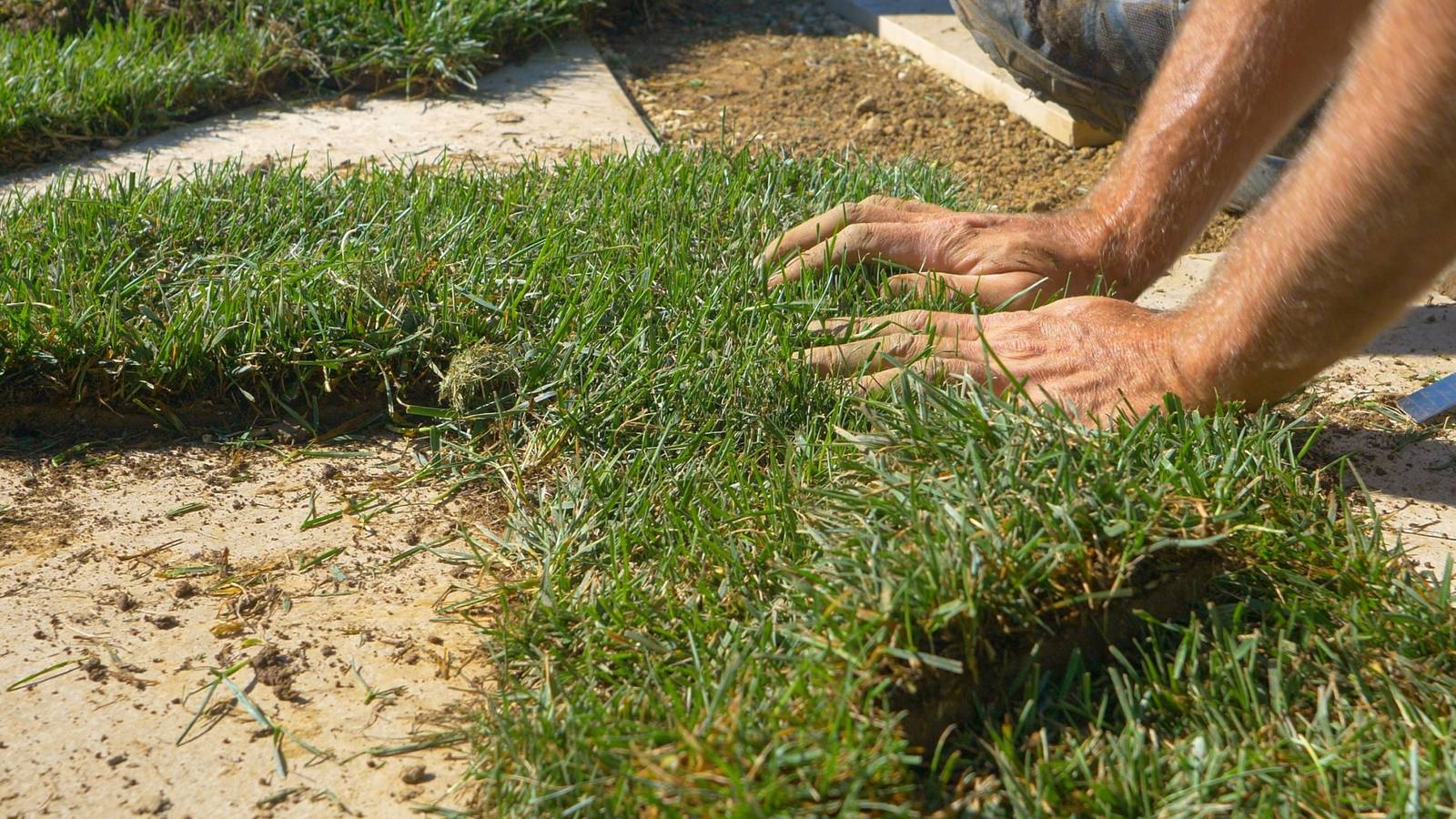 Sustainable Backyard Makeover: From Concrete to Grass
