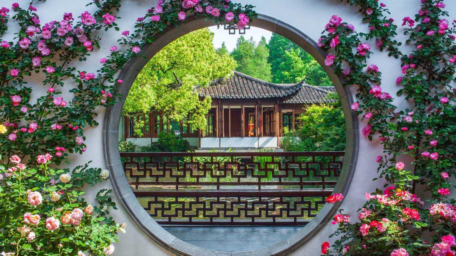 Top Plants for a Vibrant Chinese Garden Year-Round