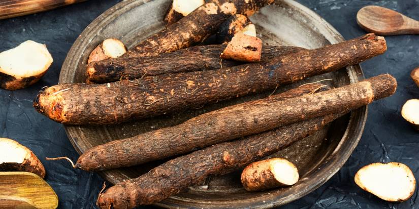 Why Salsify Deserves a Spot in Your Vegetable Garden