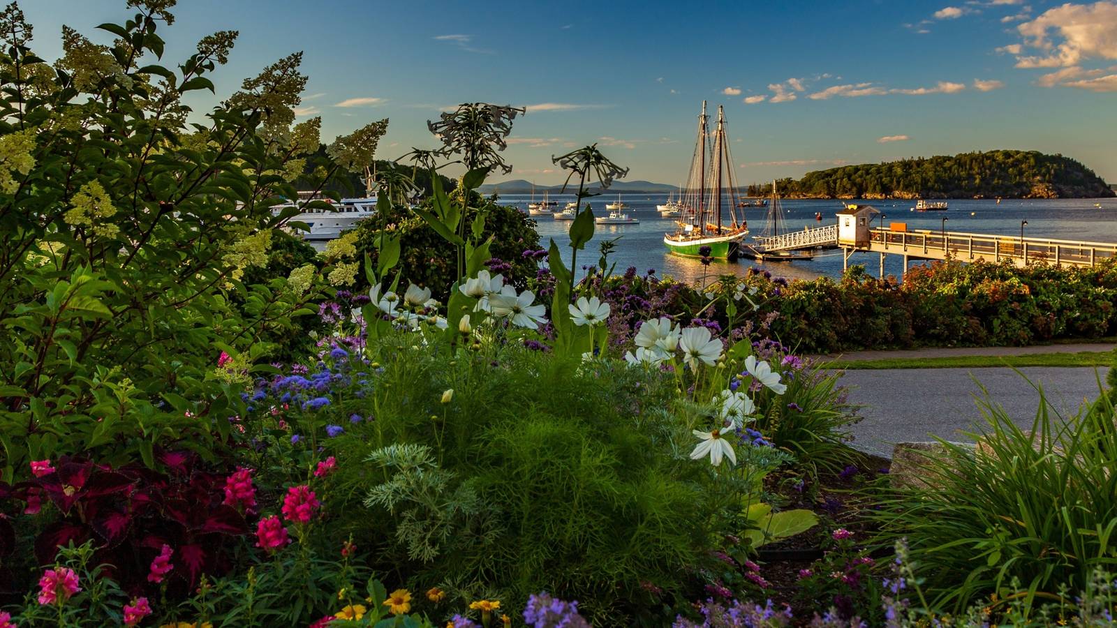 Modern Coastal Landscaping Trends for Resilient Shoreline Design