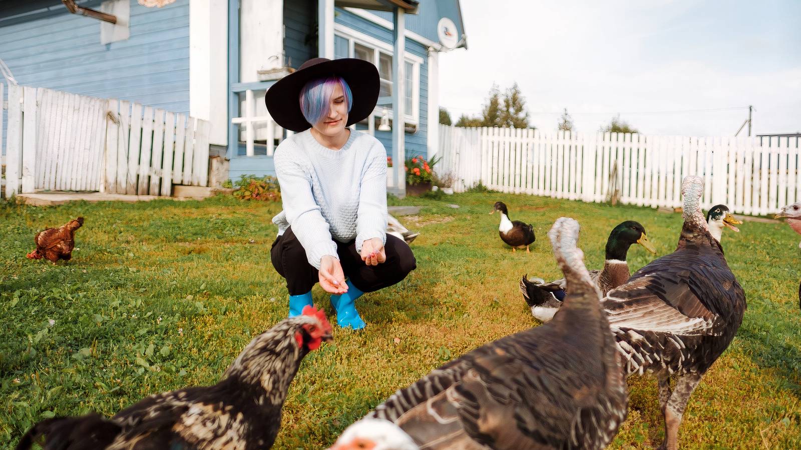 Raising Your Own Thanksgiving Turkey: A Comprehensive Guide