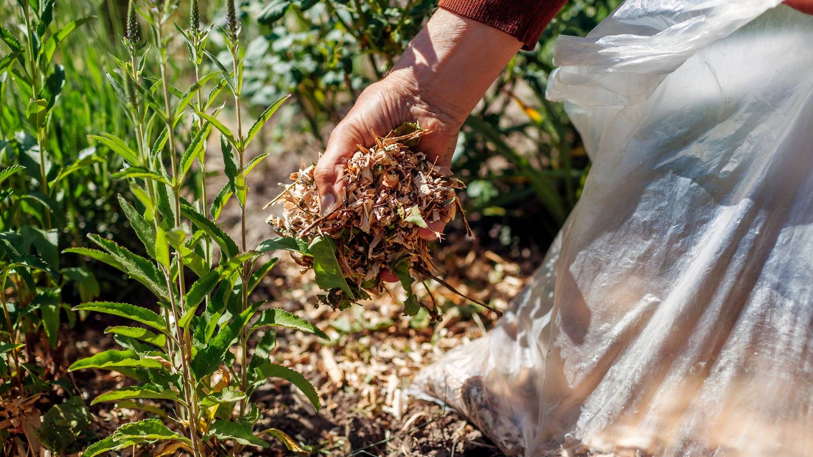 7 Essential Year-End Gardening Tasks for a Stunning Spring Garden