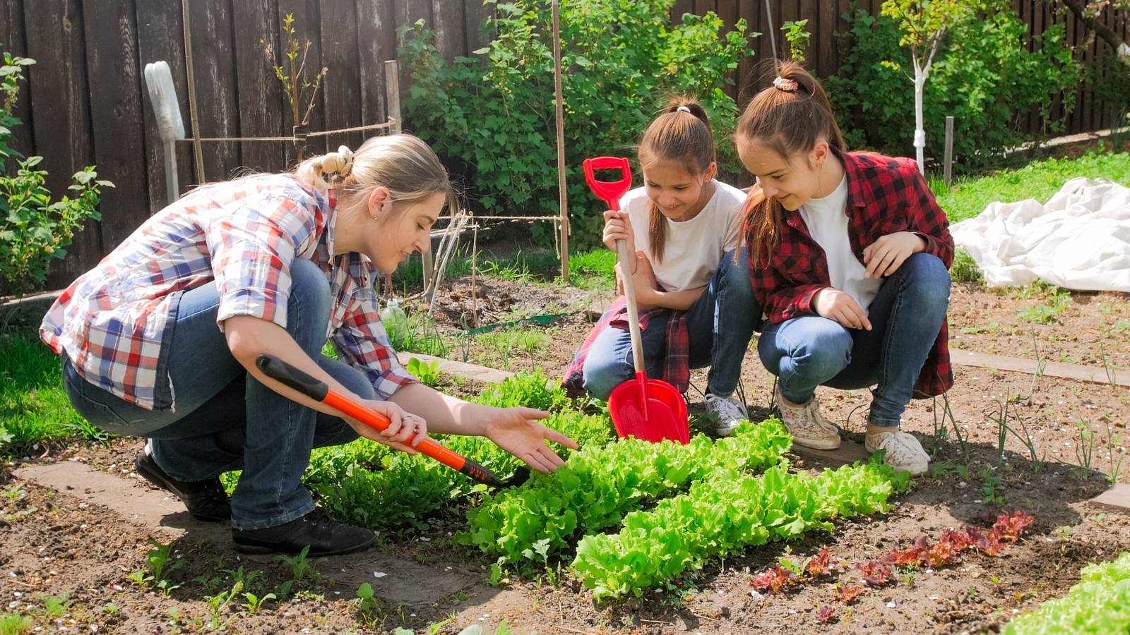 Gardening Tasks Anyone Can Do: Fun Activities for All Ages