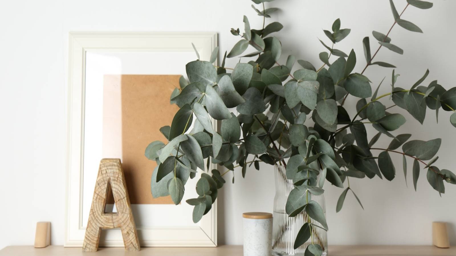 Scandinavian Christmas Plants That Bring Calm Winter Beauty Indoors