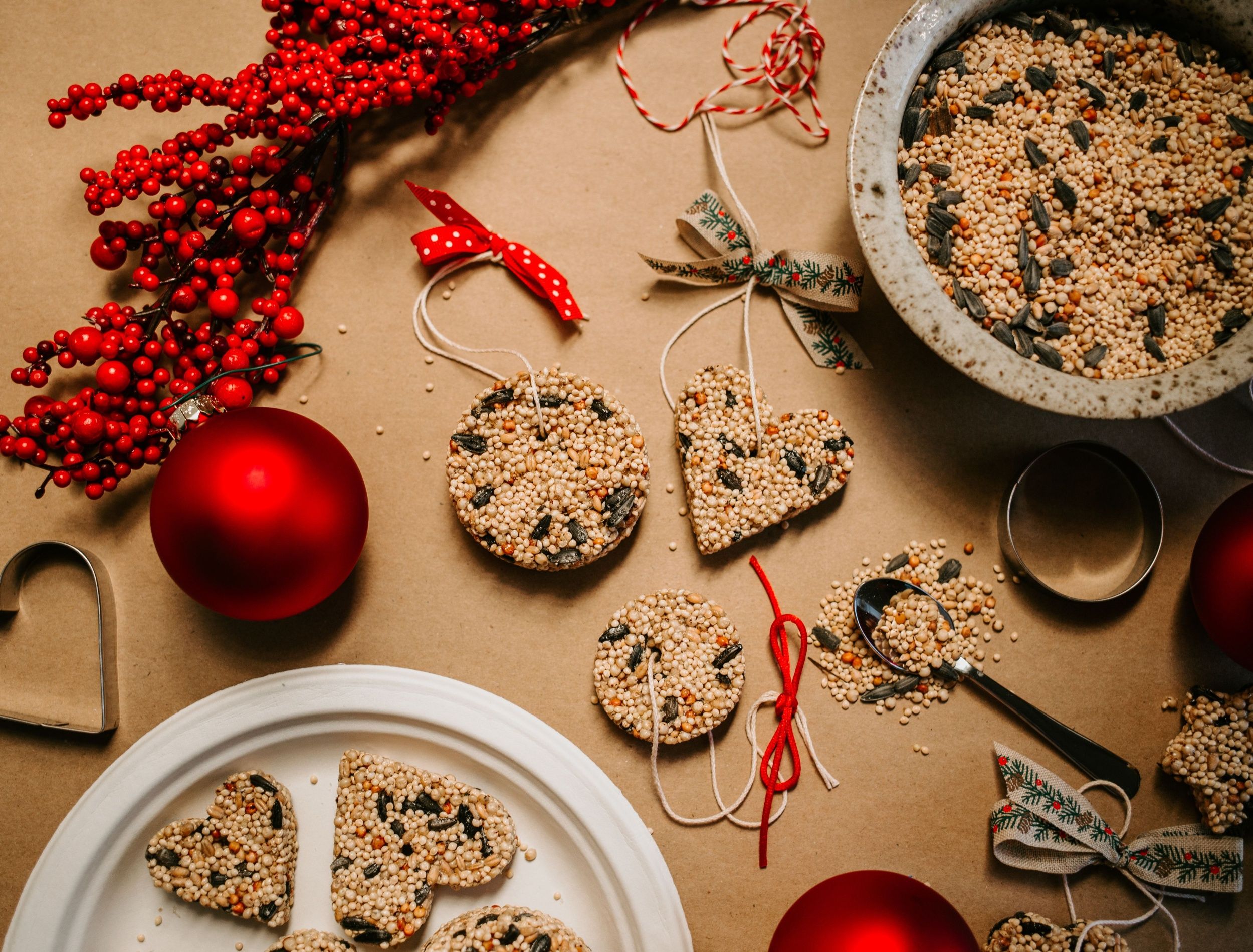 Homemade birdseed Christmas tree ornaments
