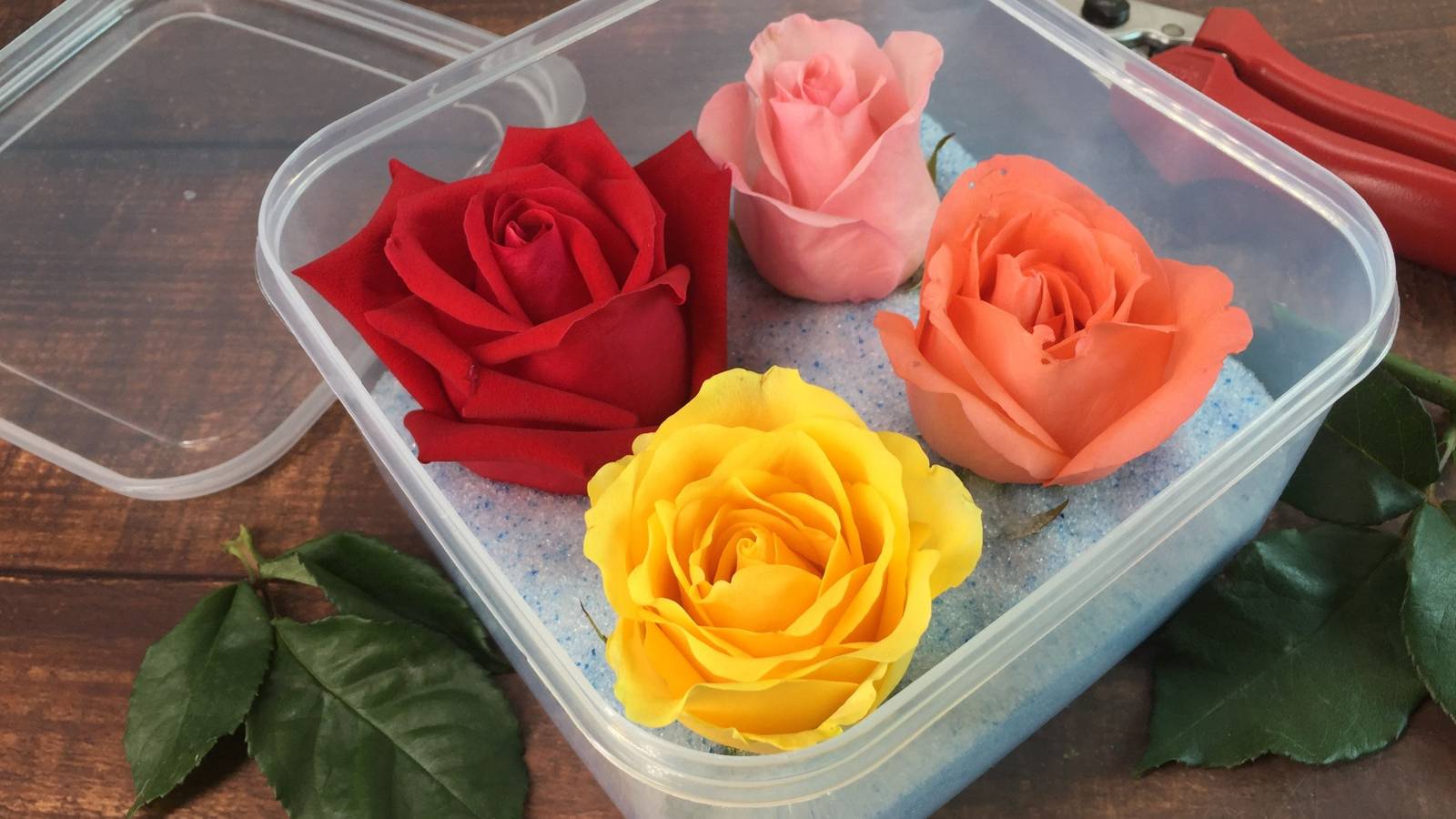 5 Techniques to Preserve Flowers for Long-Lasting Christmas Decor