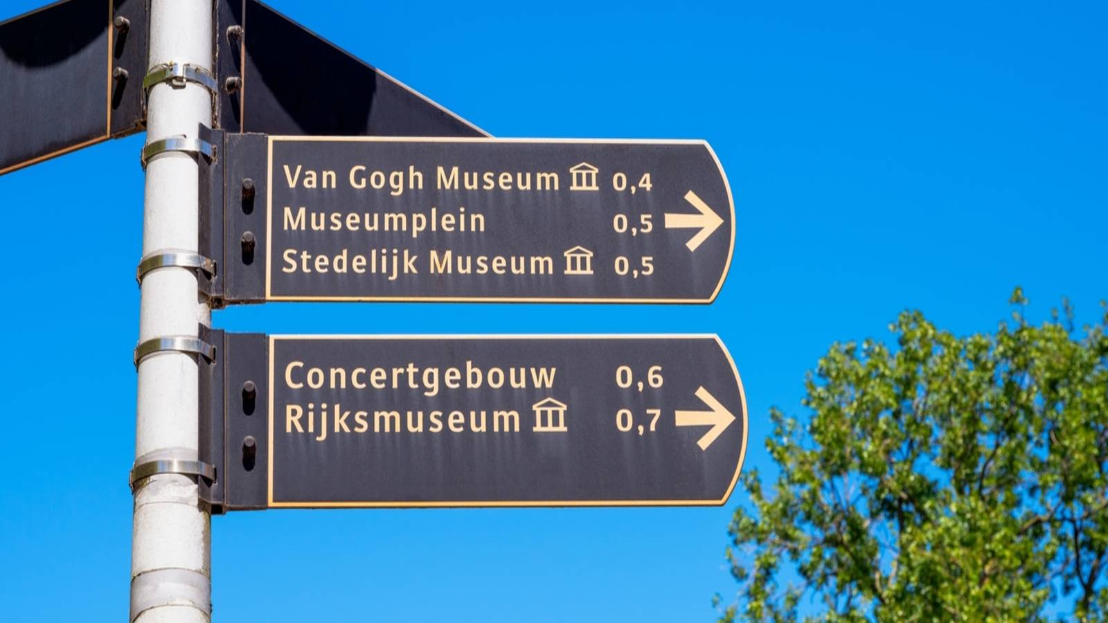 Where to See the World’s Most Famous Flower Paintings in Person