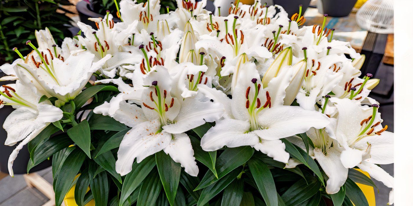 artificial potted plants for outdoors 8” Artificial Mini Potted Plants main image 1
