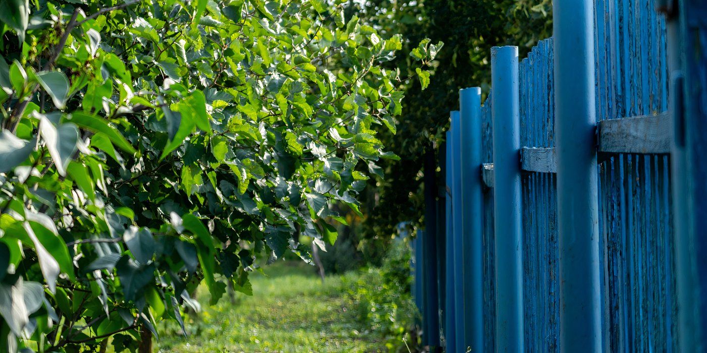 6 Bold Fence Paint Colors to Transform Your Backyard