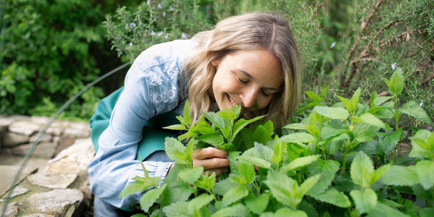 8 Detoxifying Plants to Grow for Natural Cleansing
