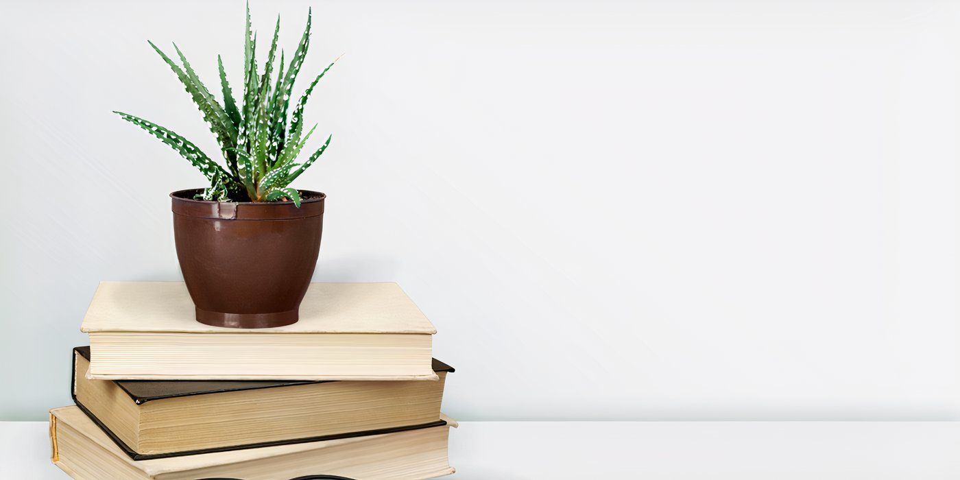8 Houseplants That Embody the Dark Academia Aesthetic
