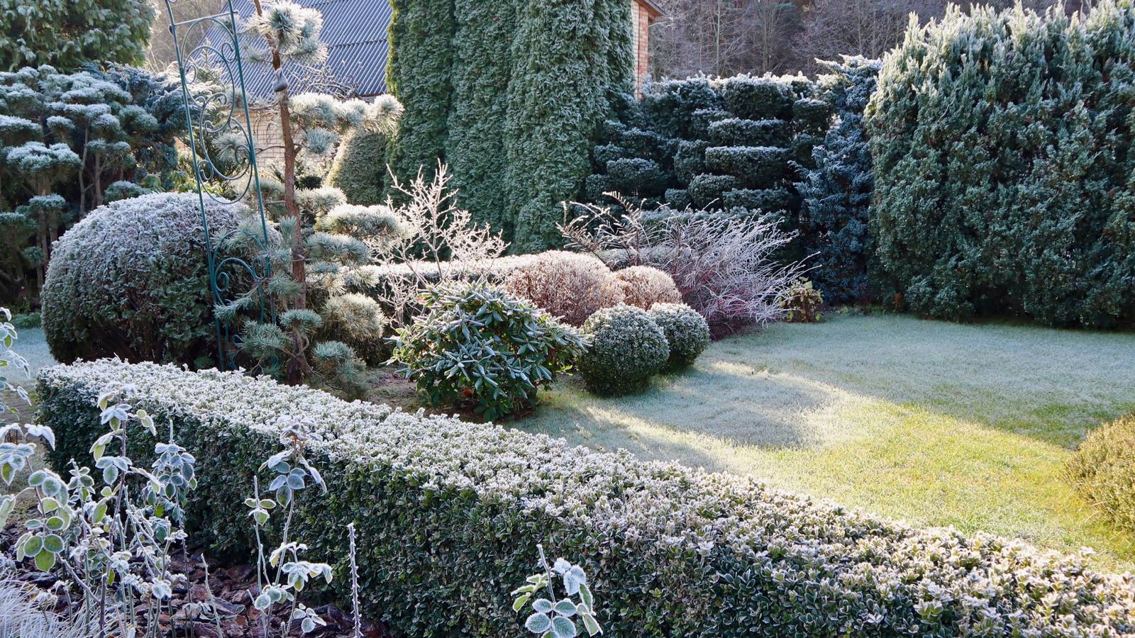 5 Reasons to Embrace Your Winter Garden: Productive Cold Season Gardening