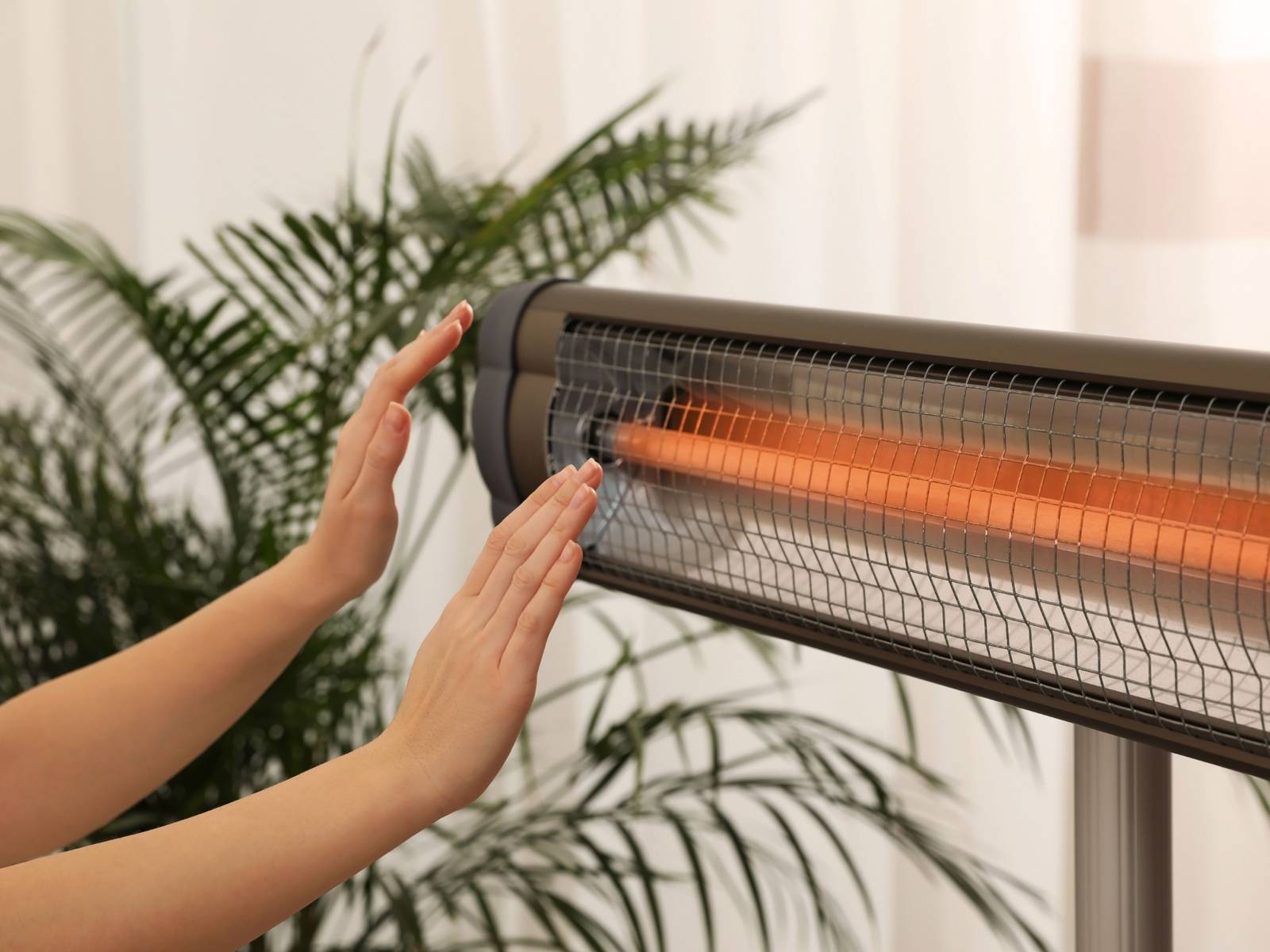 Prevent Heater Damage to Indoor Plants for Healthy Growth