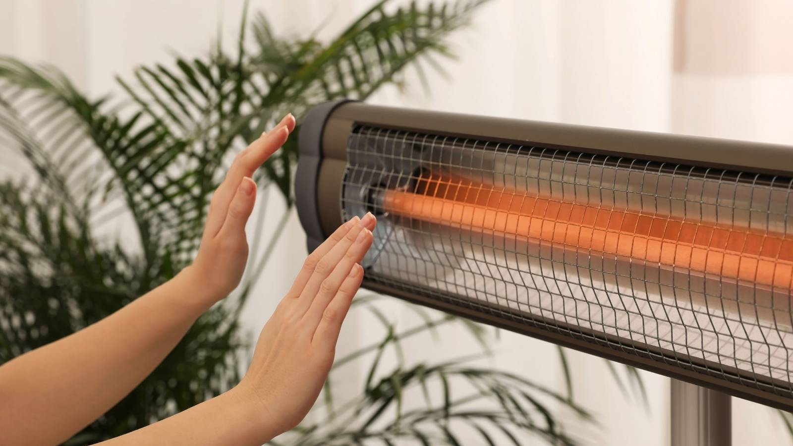 Prevent Heater Damage to Indoor Plants for Healthy Growth