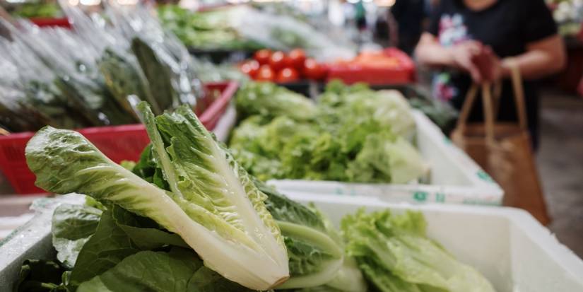 Top Lettuce Types to Elevate Caesar Salad Recipes Every Time