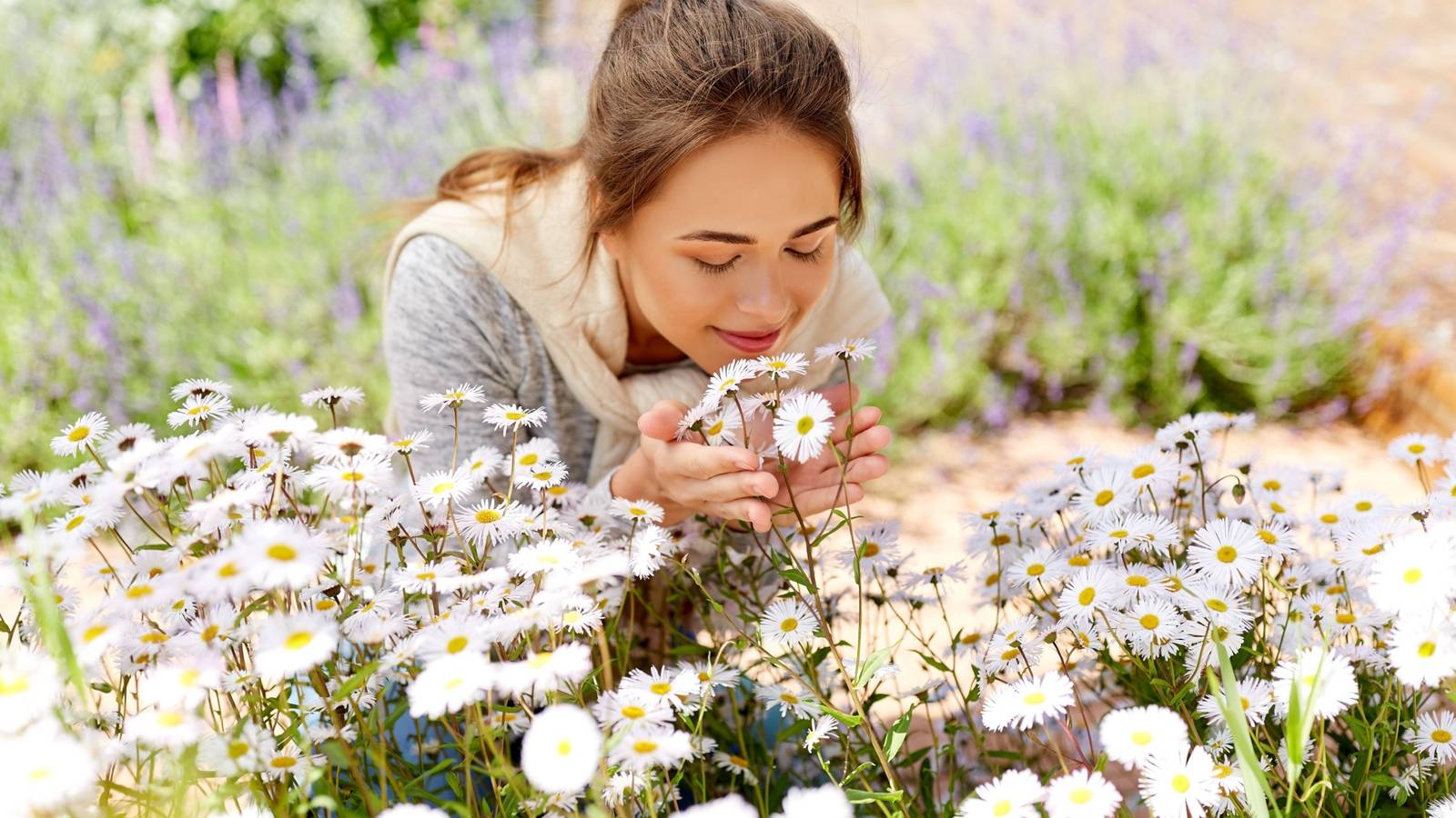 Top Soothing Plants for a Calming Aromatherapy Garden